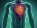 Заболевания сердечно-сосудистой системы и системы кровообращения